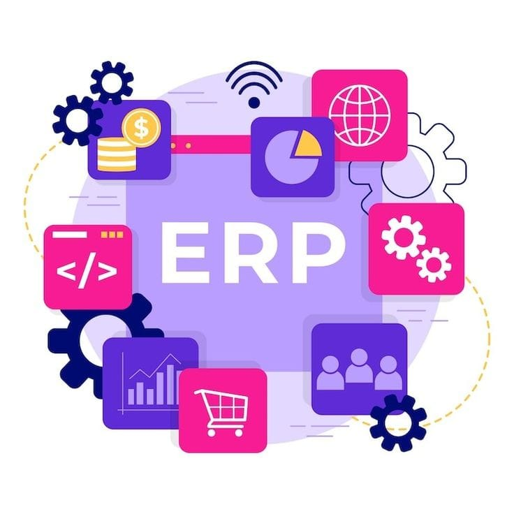Custom ERP Development